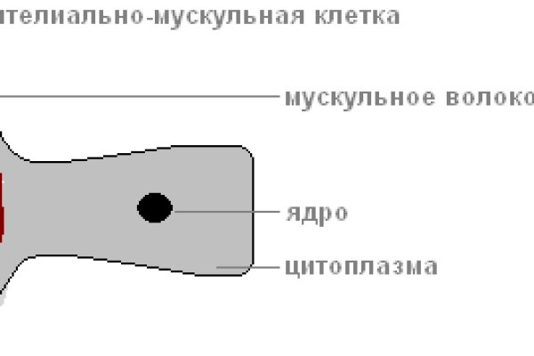 Kra33.at
