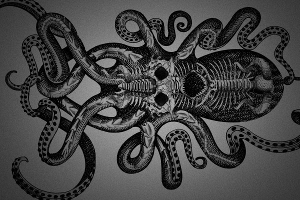 Kraken market