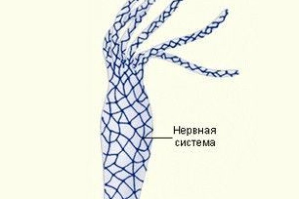 Ссылка кракен официальная тор