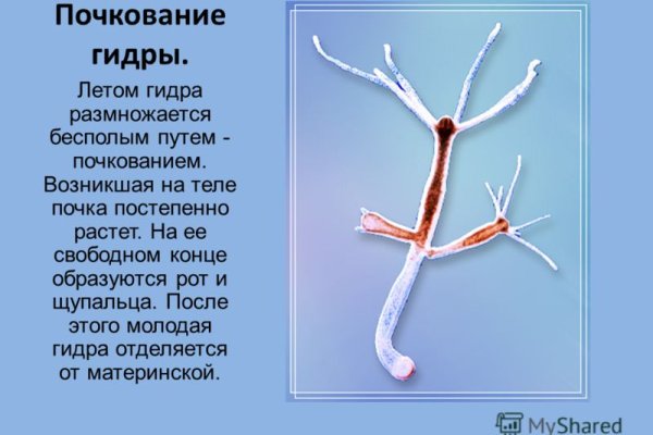 Ссылка на кракен свежая
