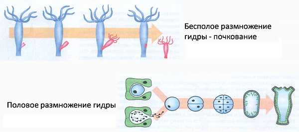 Кракен даркнет ссылка kraken link24 info